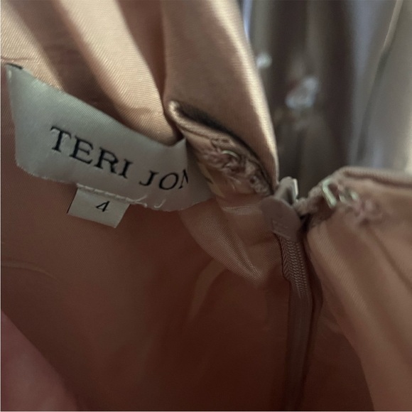 Nwot Teri Jon dress women size 4 pink blush with embellishments - Picture 10 of 13